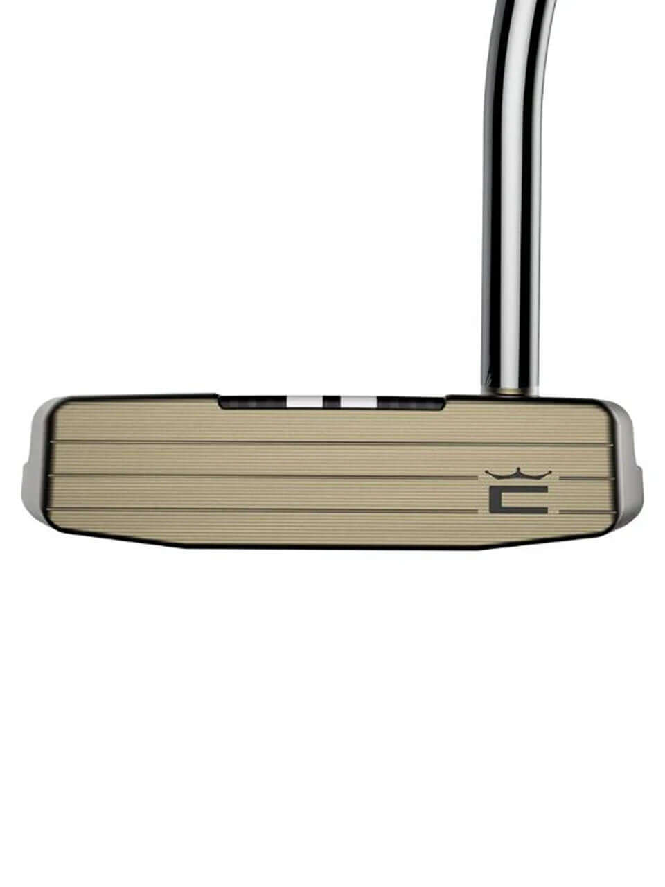 3DP TOUR Putter - AGERA close-up view of the oversized mallet head showcasing the innovative design and finish.