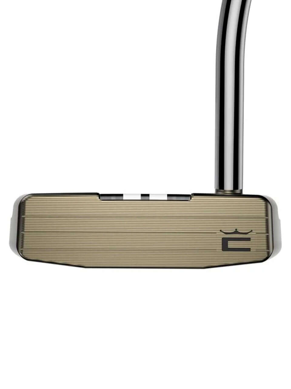 3DP TOUR Putter - AGERA RS with a traditional mallet shape and single bend shaft for golfers.